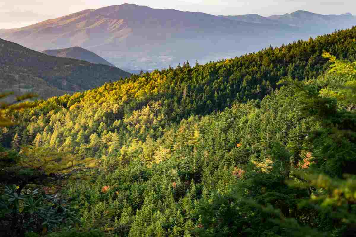 Svolta green in Veneto