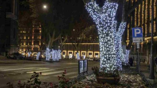 L'Orto Botanico della Sapienza di Roma si prepara ad accogliere un evento straordinario: "Trame di luce".