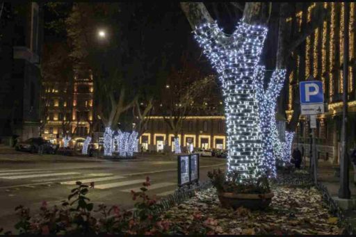 L'Orto Botanico della Sapienza di Roma si prepara ad accogliere un evento straordinario: "Trame di luce".